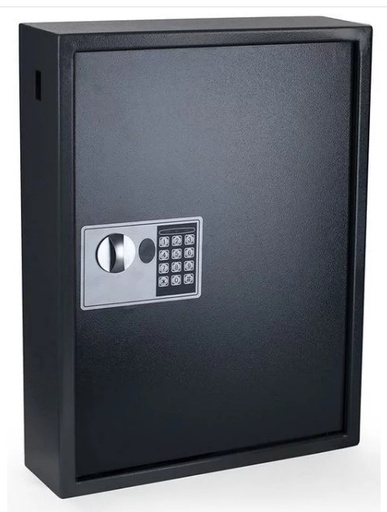 [ARM-100] ARMOIRE 100 CLES MURALE